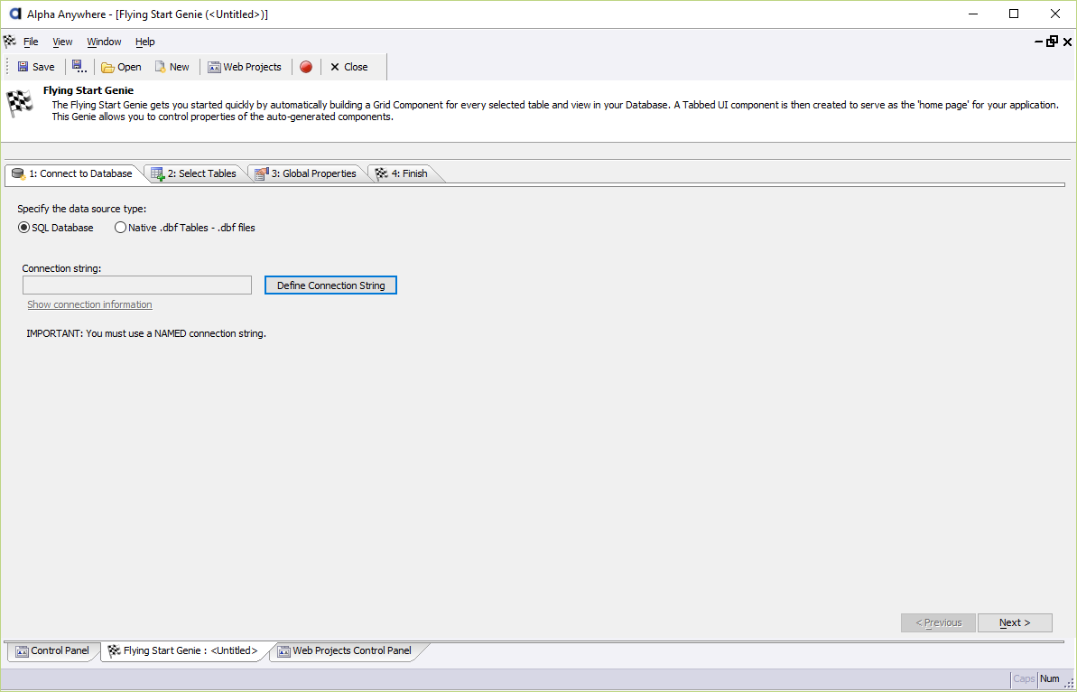 The Connect to Database page in the Flying Start Genie